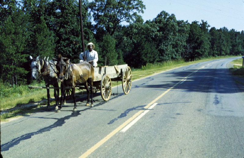 Photos from the Old South