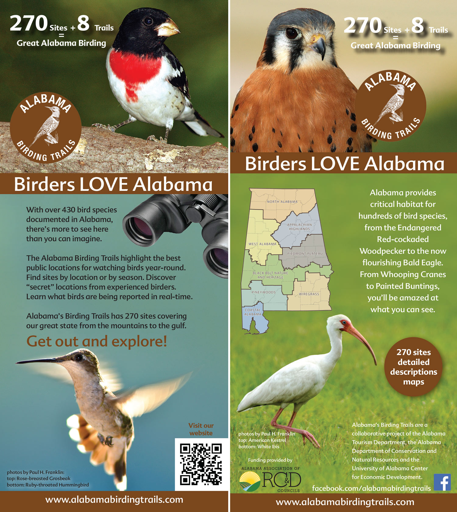 Recent rack card for Birding Trails